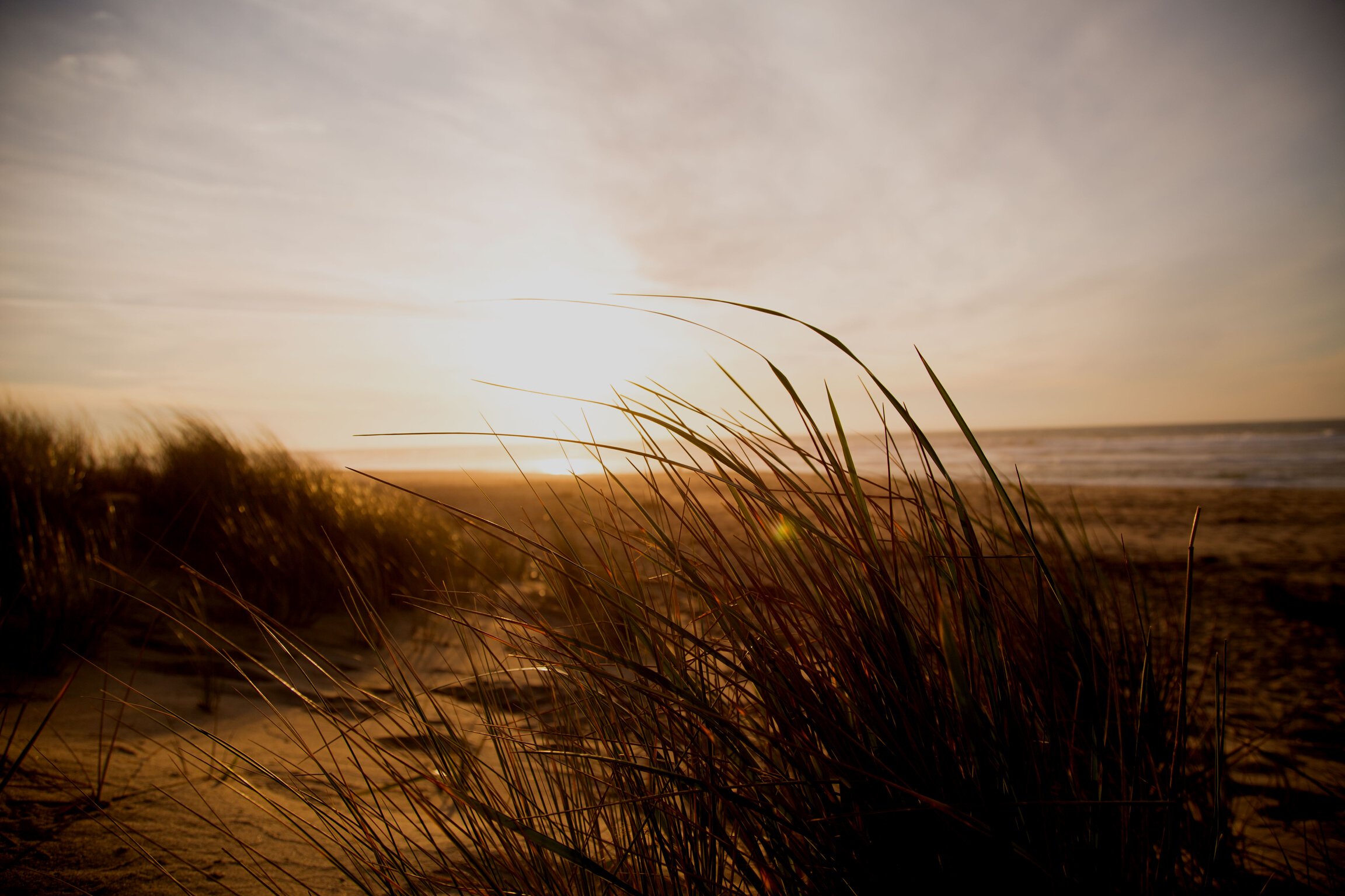 Landscape Photography of Beach